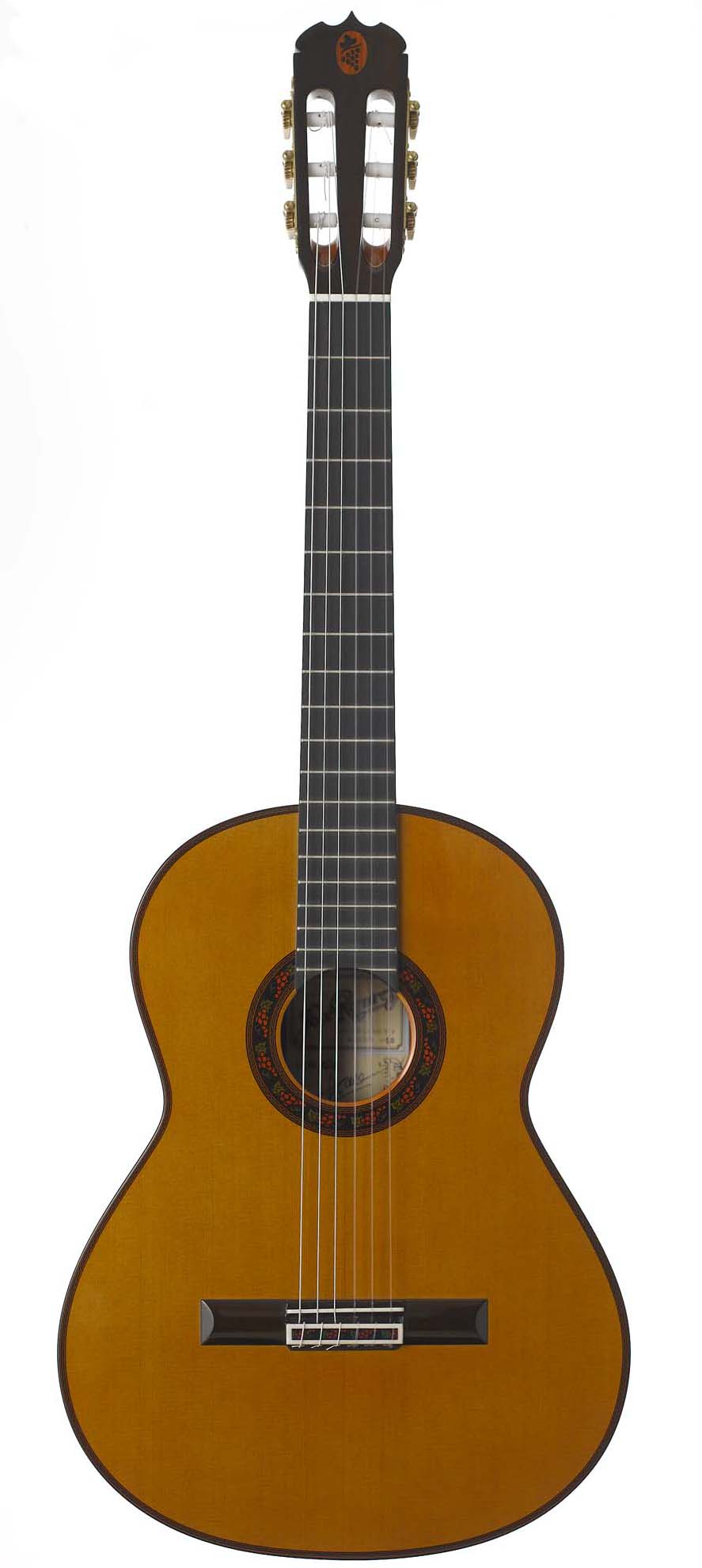 tr-delvino-0.jpg